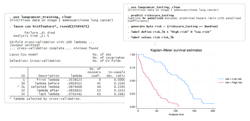 Stata